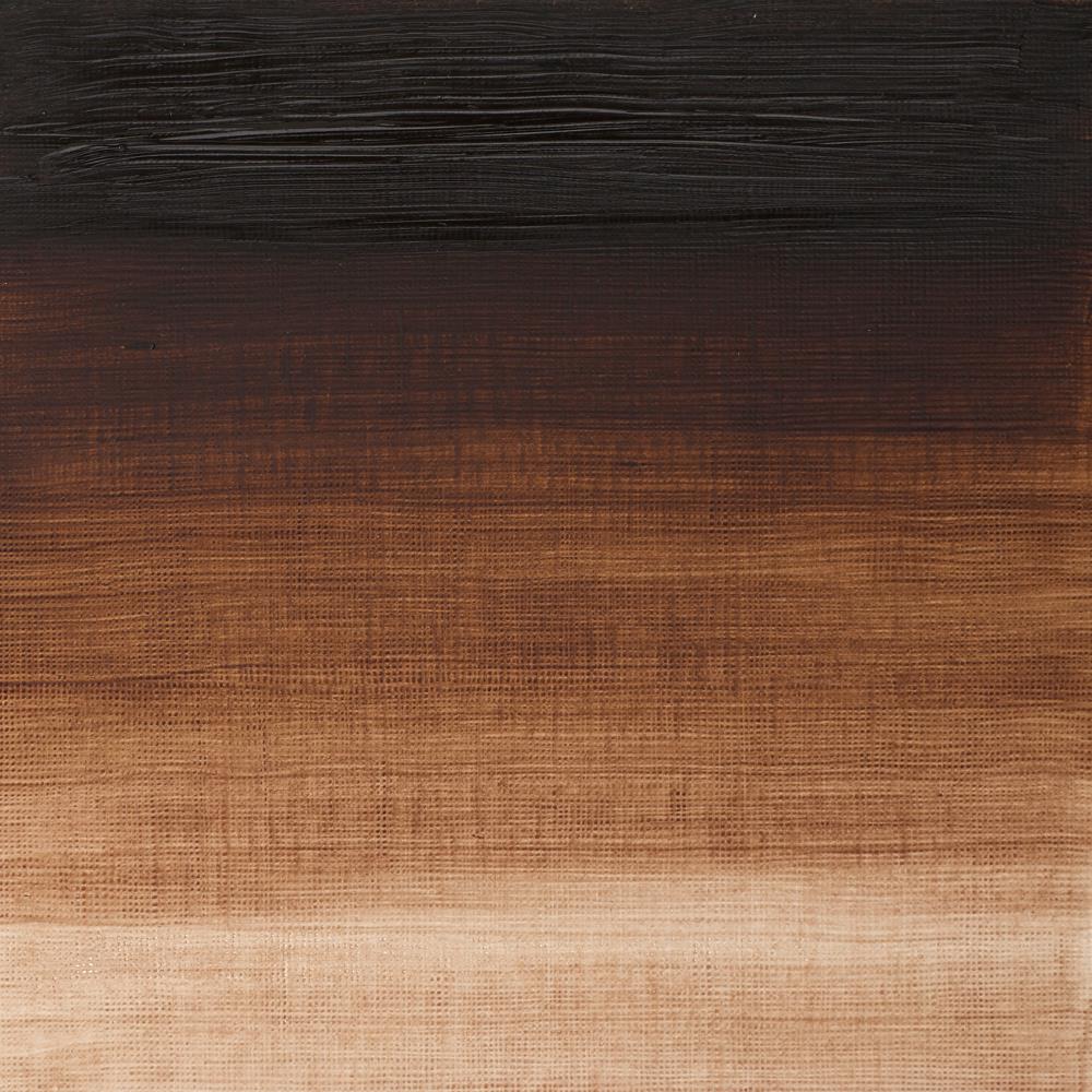 Artists' Oil Colour - Vandyke Brown