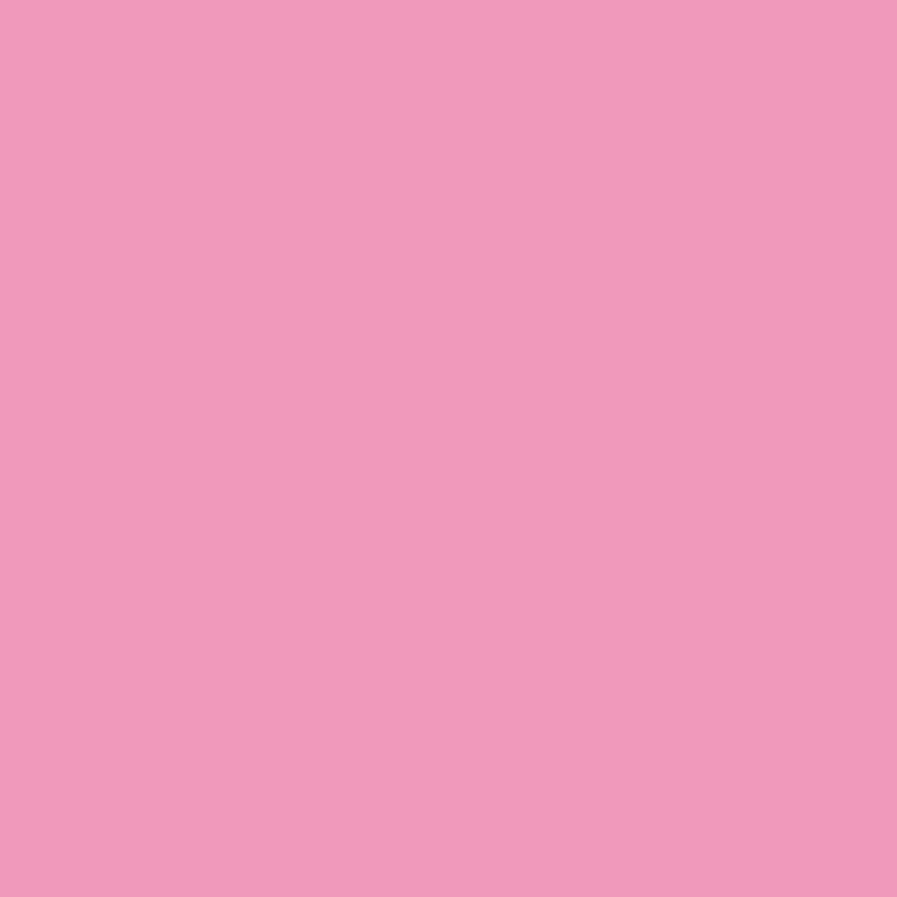 Promarker Brush - Rose Pink