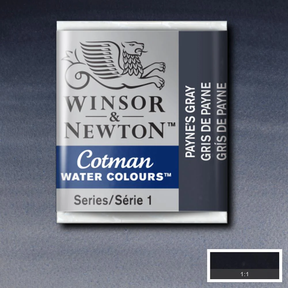 Cotman Watercolour - Payne's Gray