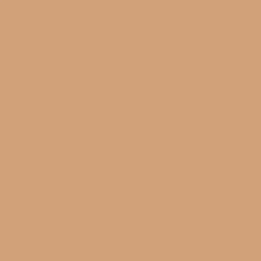 Promarker - Cinnamon