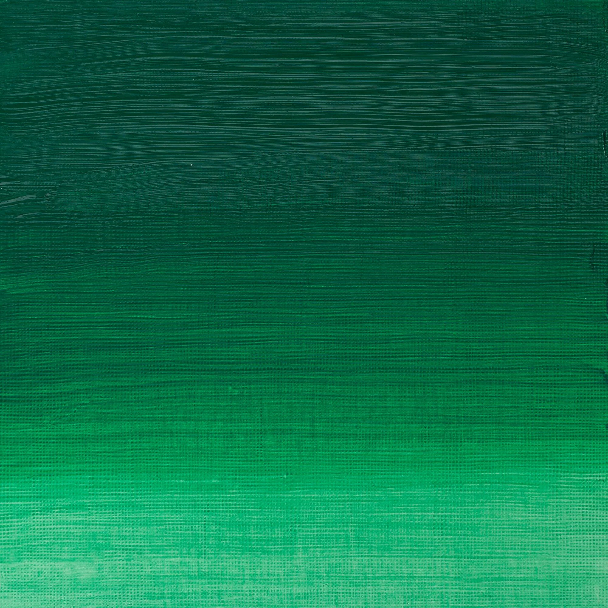 Artists' Oil Colour - Permanent Green