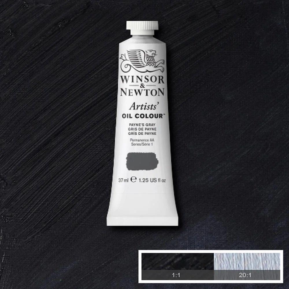 Artists' Oil Colour - Payne's Gray