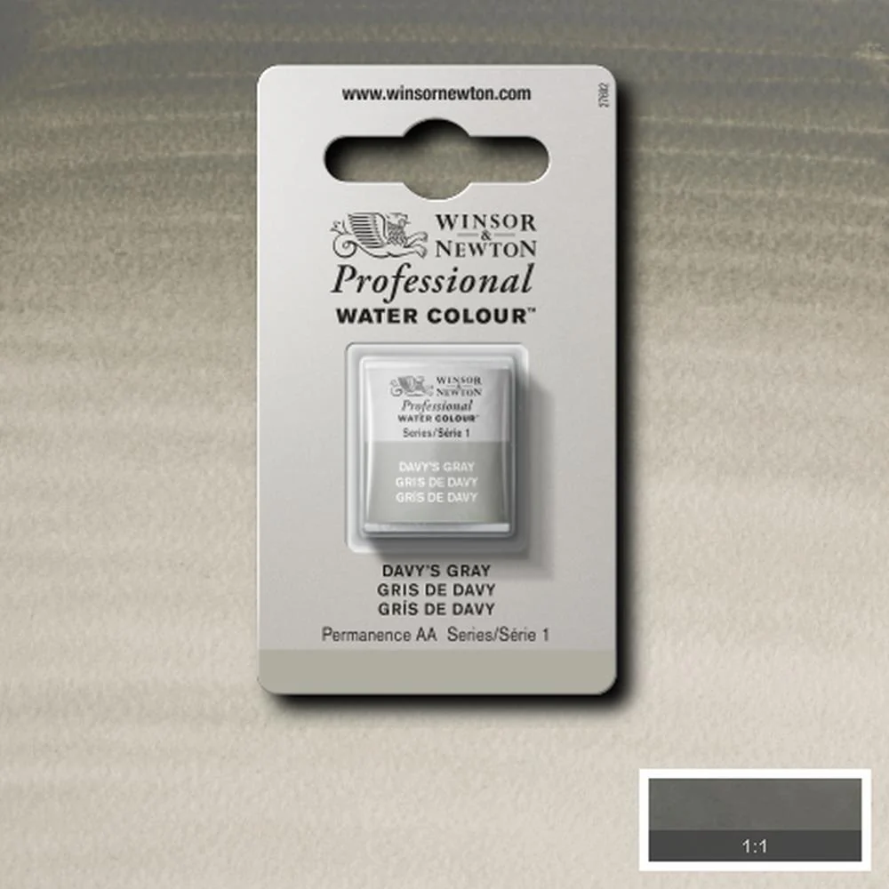 Professional Watercolour - Davy's Gray