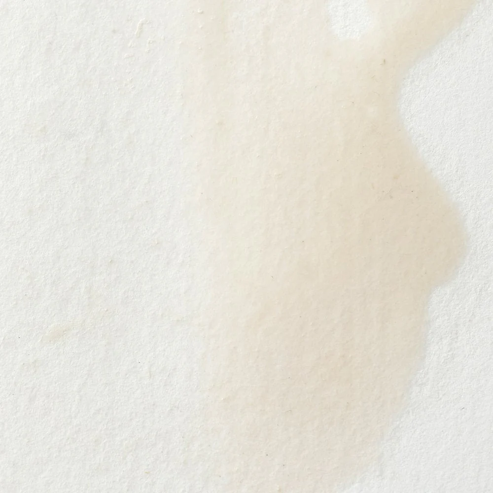 Professional Watercolour - Chinese White