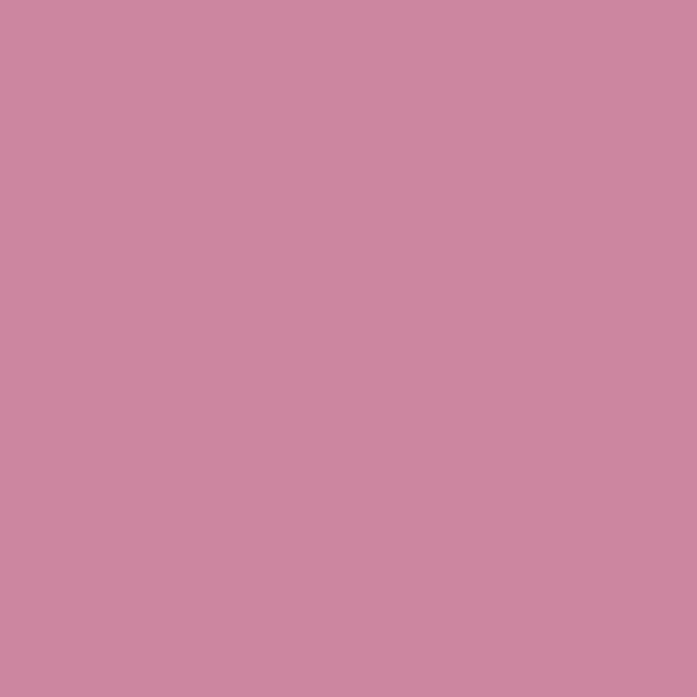 Promarker - Dusky Rose