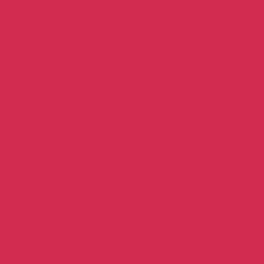 Promarker Brush - Ruby