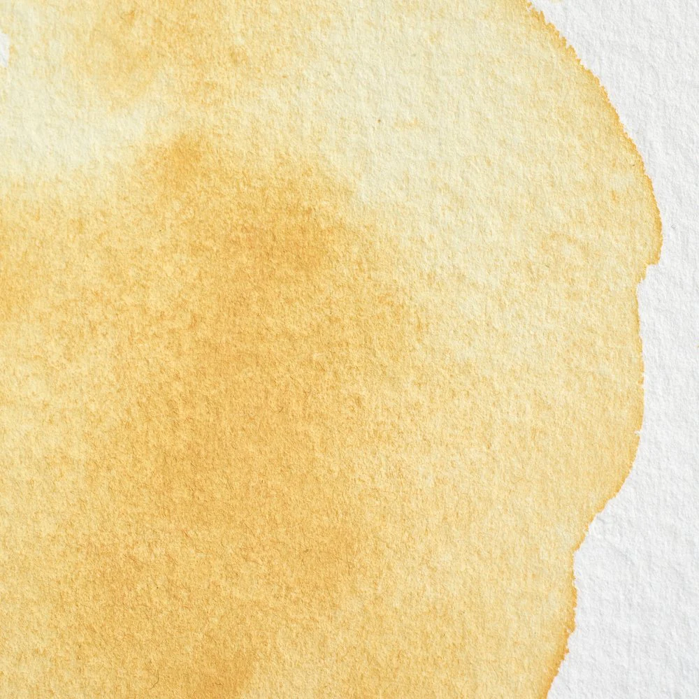 Professional Watercolour - Naples Yellow