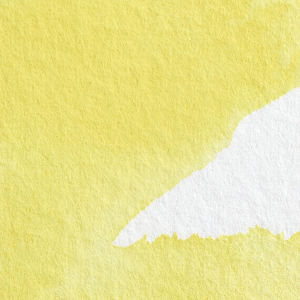 Professional Watercolour - Bismuth Yellow