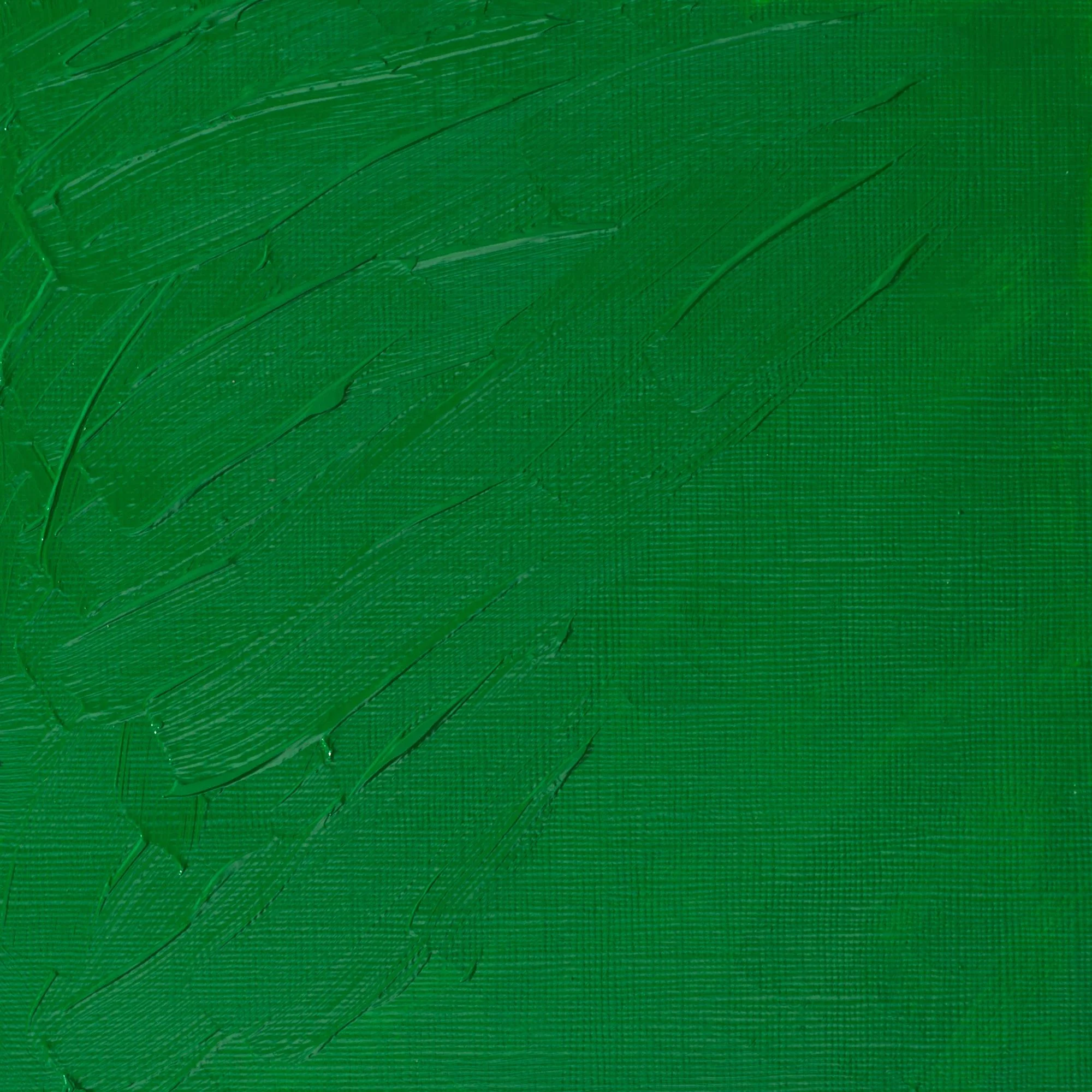 Artists' Oil Colour - Permanent Green Light