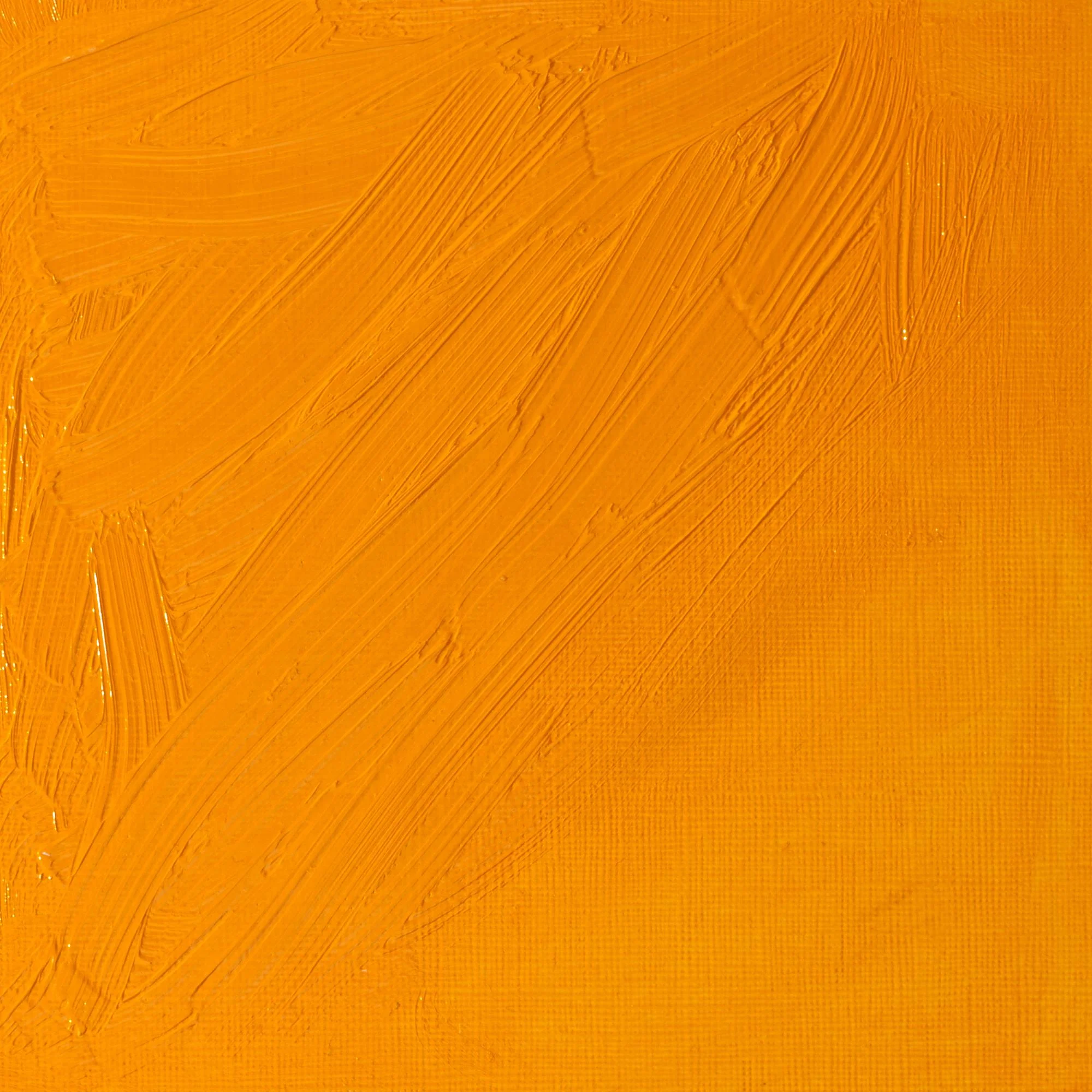 Artists' Oil Colour - Winsor Yellow Deep