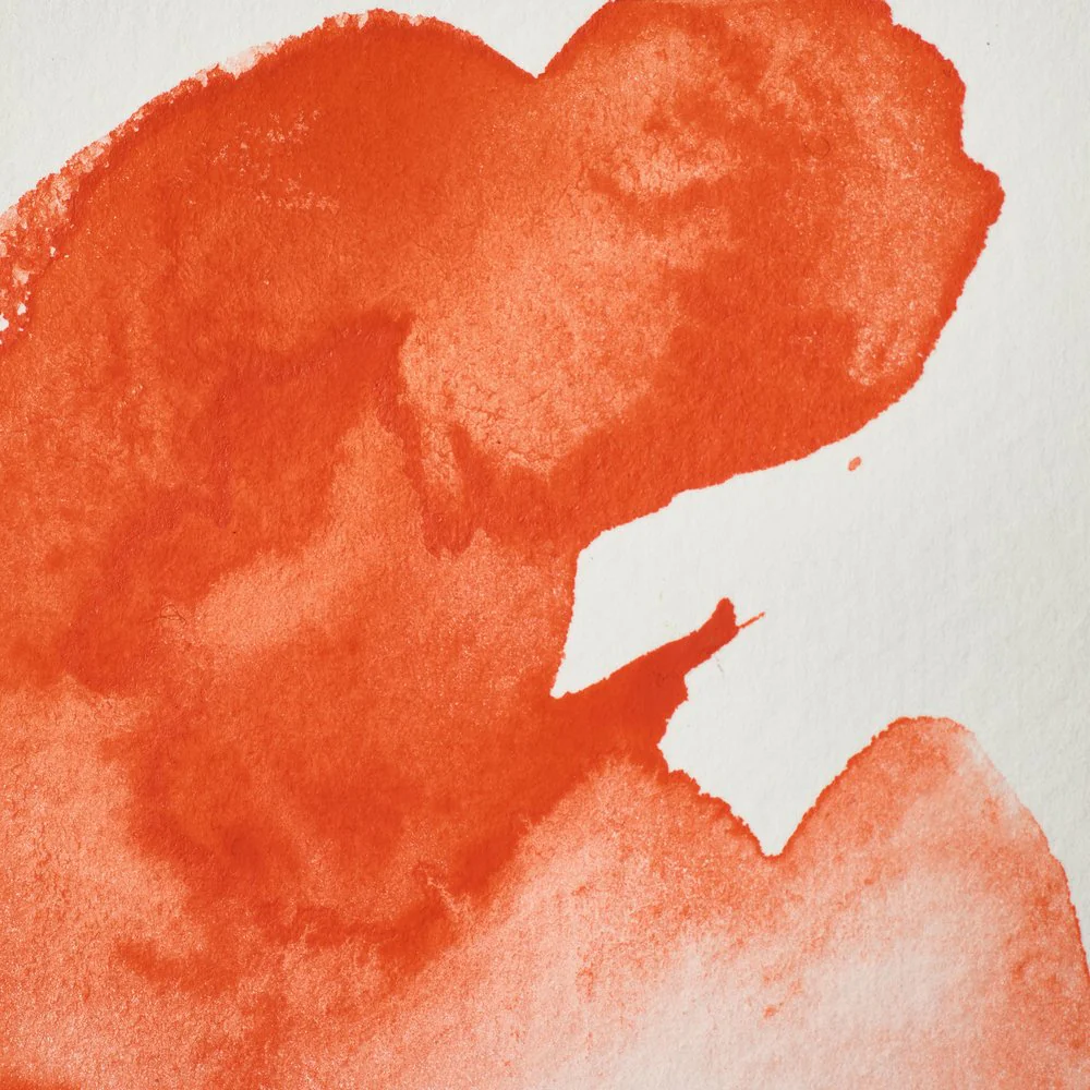 Professional Watercolour - Field's Orange