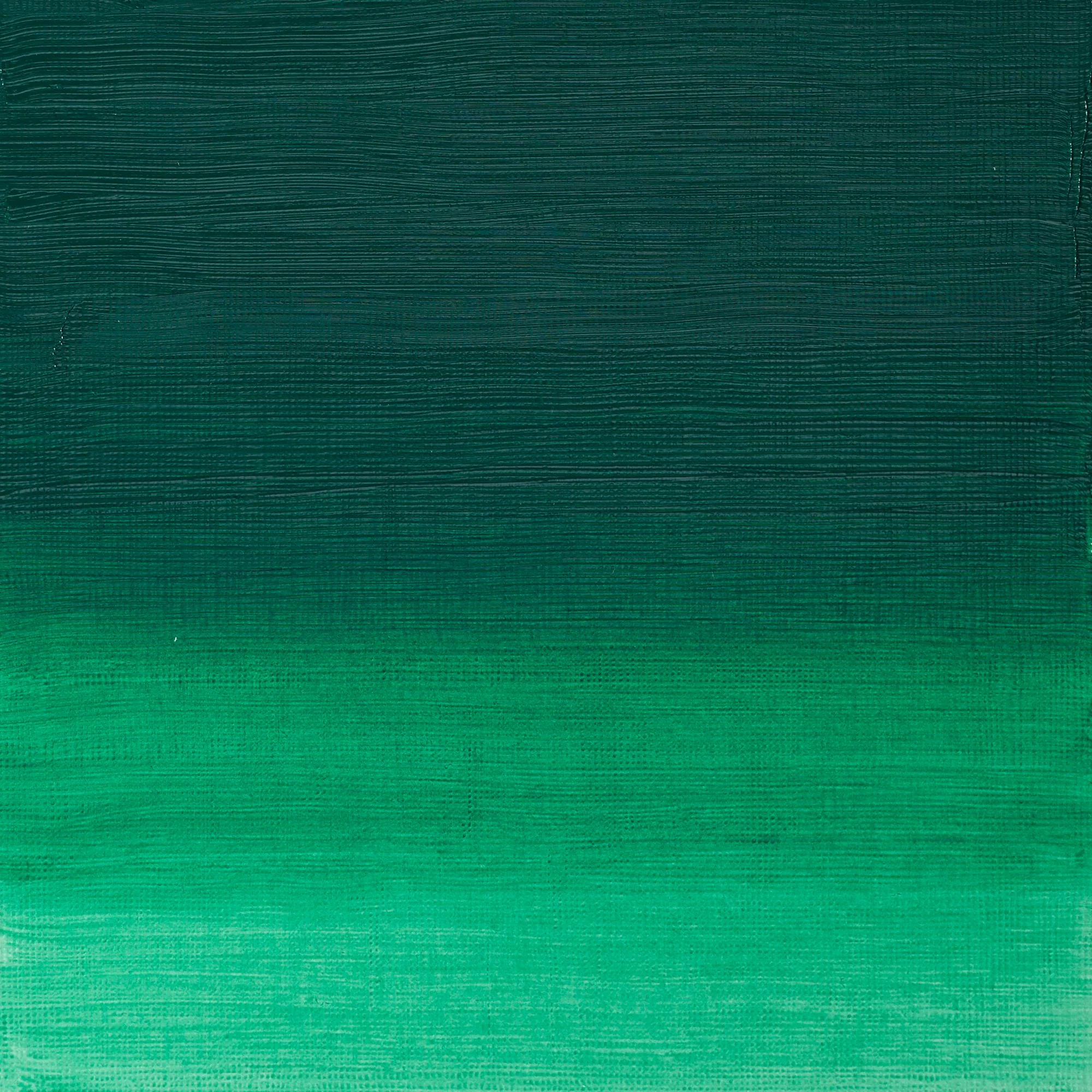 Artists' Oil Colour - Permanent Green Deep