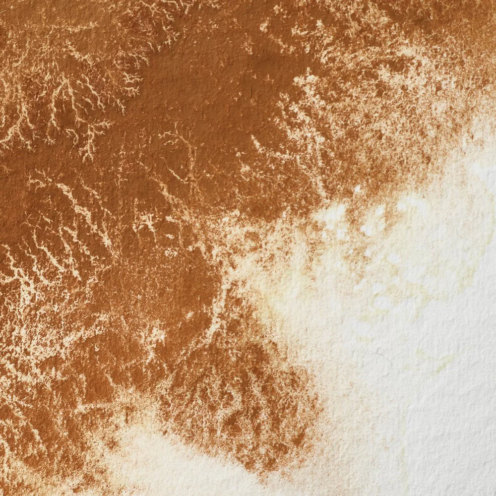 Professional Watercolour - Magnesium Brown
