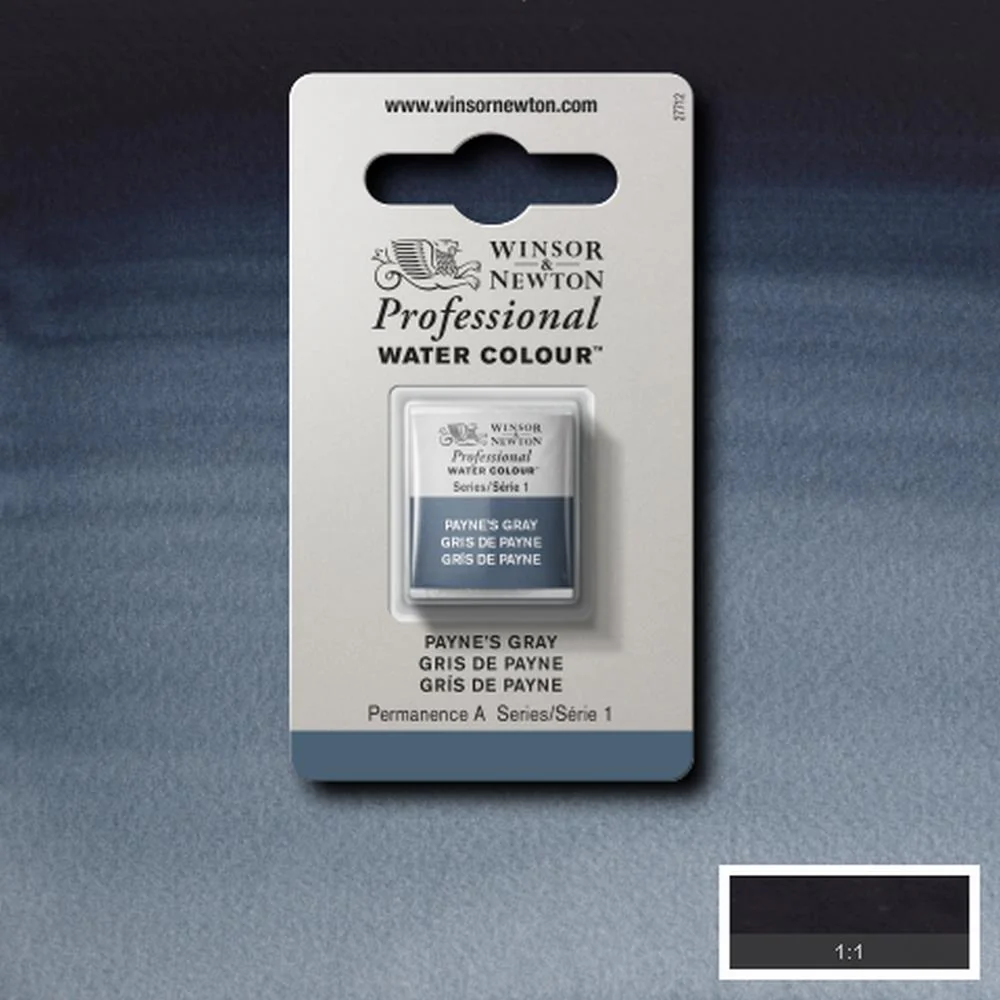 Professional Watercolour - Payne's Gray