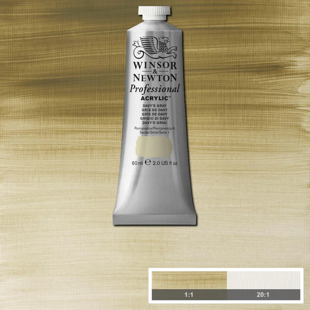 Professional Acrylic - Davy's Gray