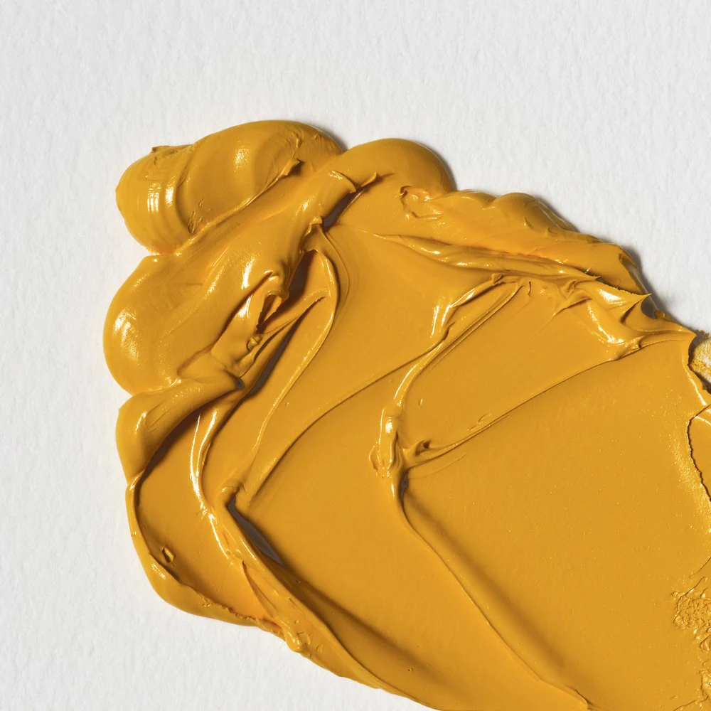 Winton Oil Colour - Cadmium Yellow Medium