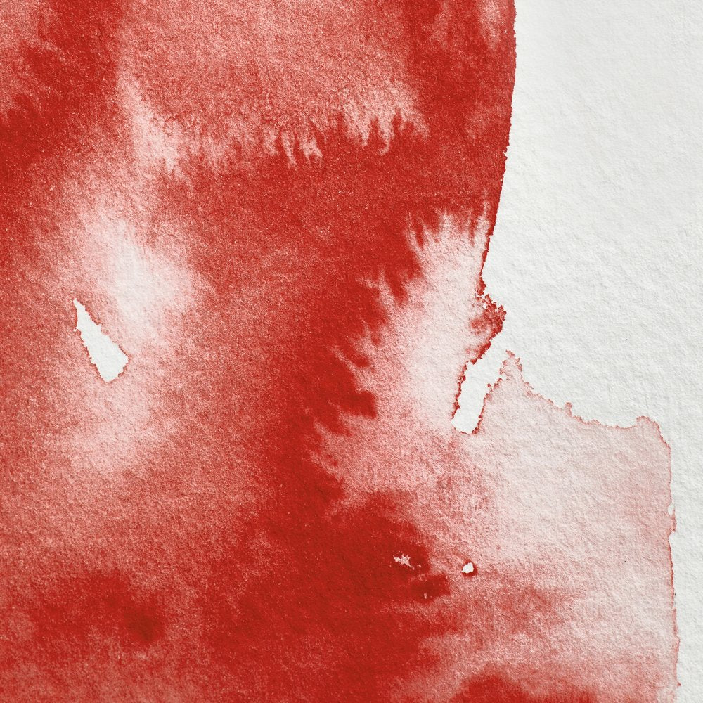 Professional Watercolour - Winsor Red