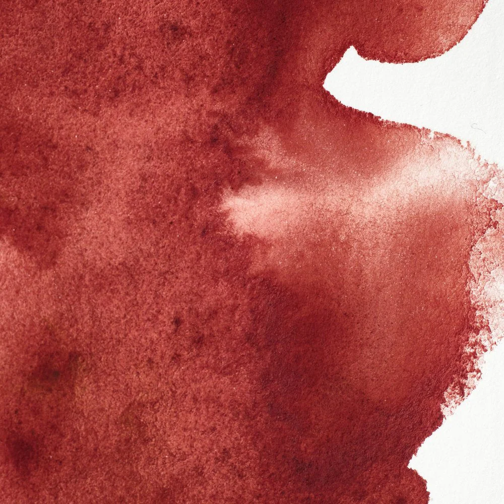 Professional Watercolour - Perylene Maroon