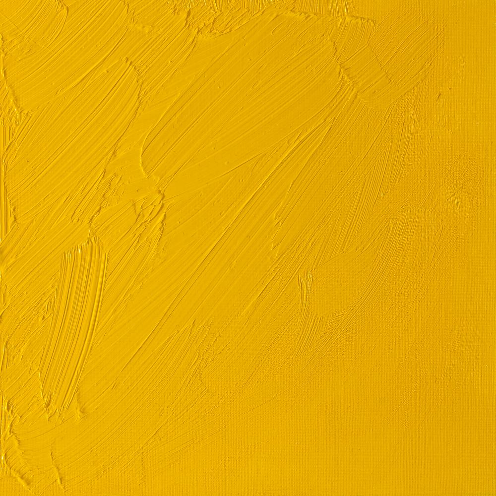 Artists' Oil Colour - Cadmium Yellow Pale