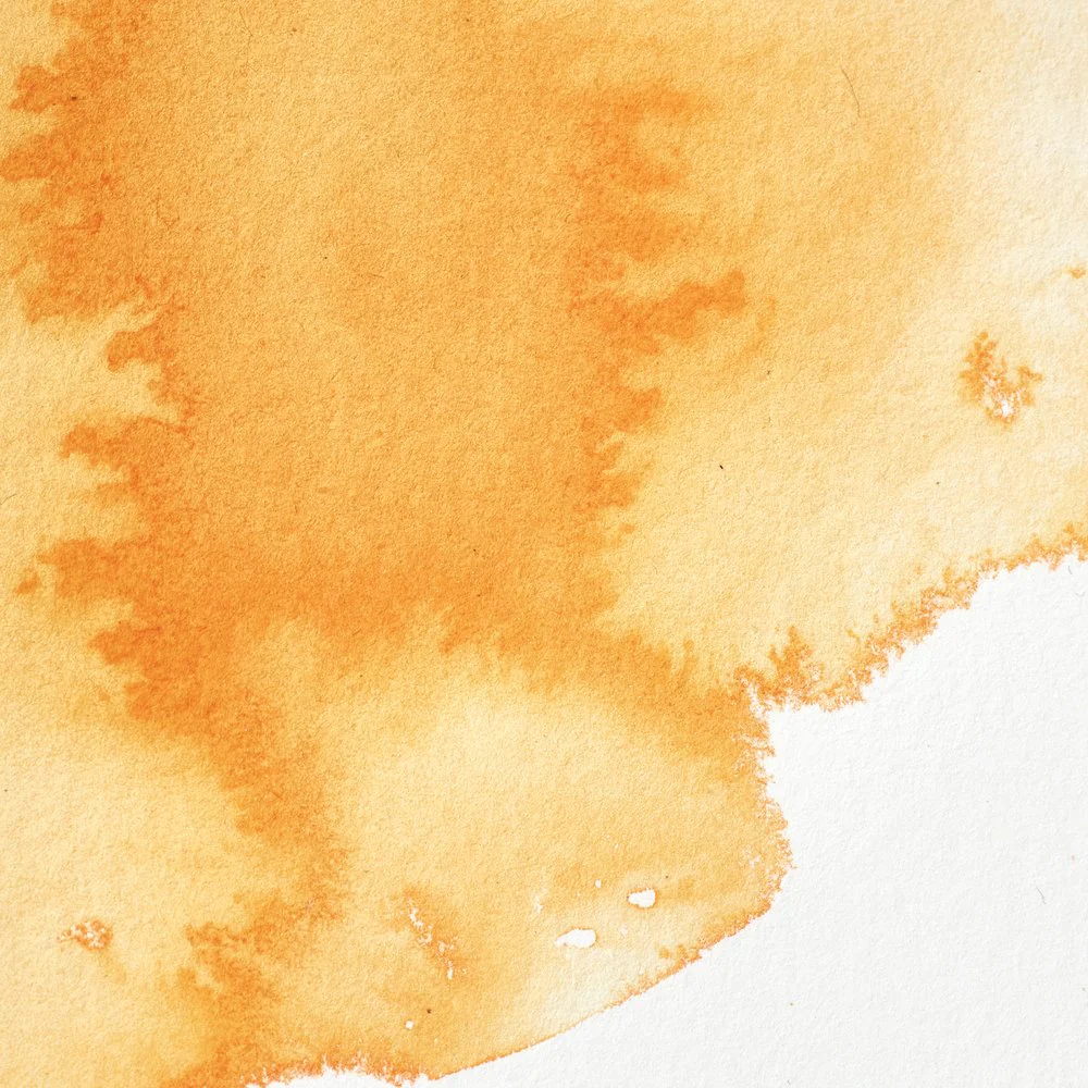 Professional Watercolour - Winsor Orange
