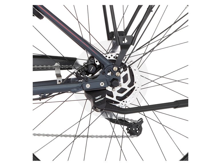 FISCHER E-Bike Trekking »Viator 2.0«, 28 Zoll