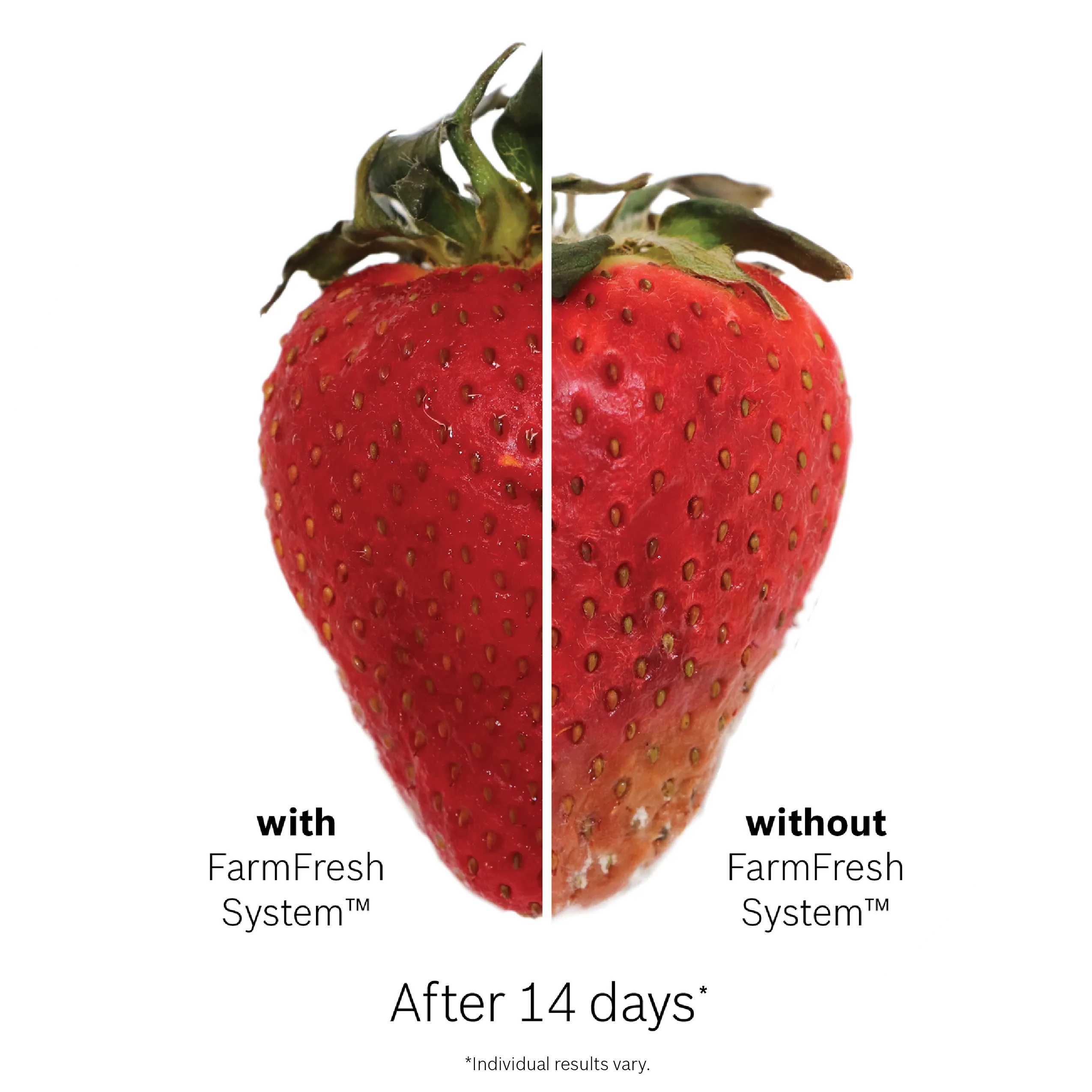 Bosch B36CL80SNS 800 Series French Door Bottom Mount Refrigerator 36'' Stainless steel (with anti-fingerprint)