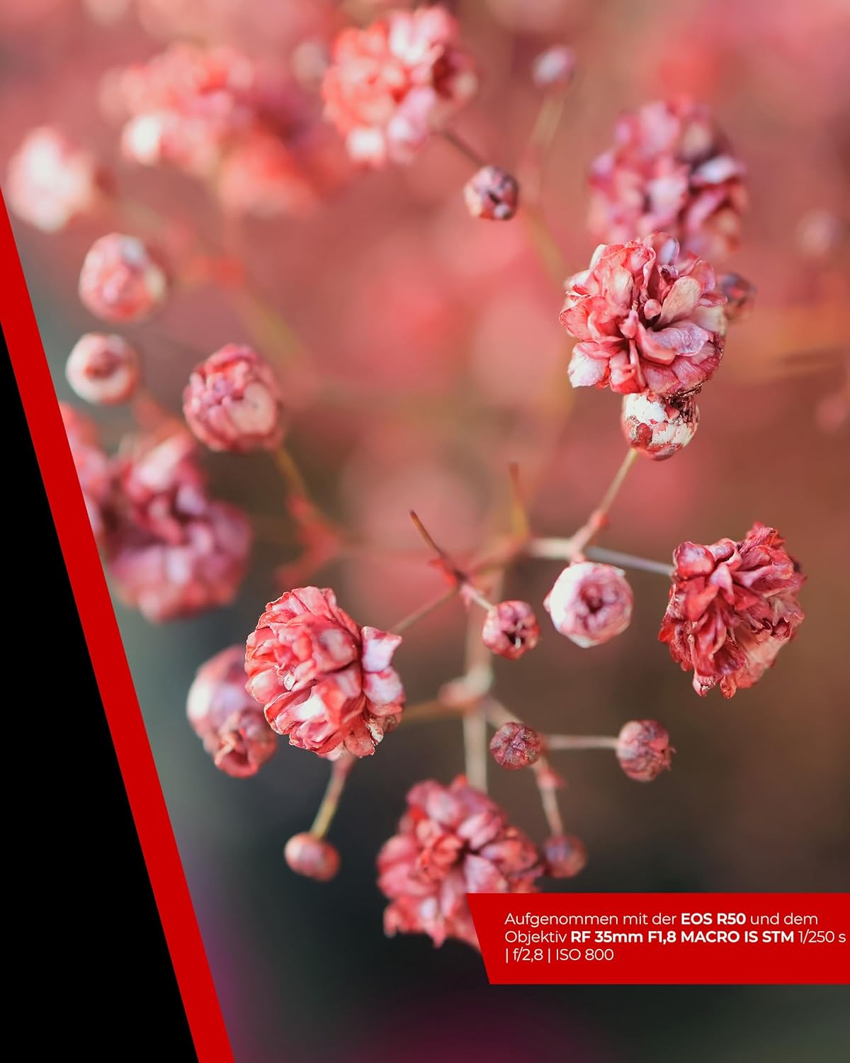 Canon EOS R50 Systemkamera + RF-S 18-45mm is STM Objektiv - Spiegellose Kamera Digitalkamera mit Autofokus