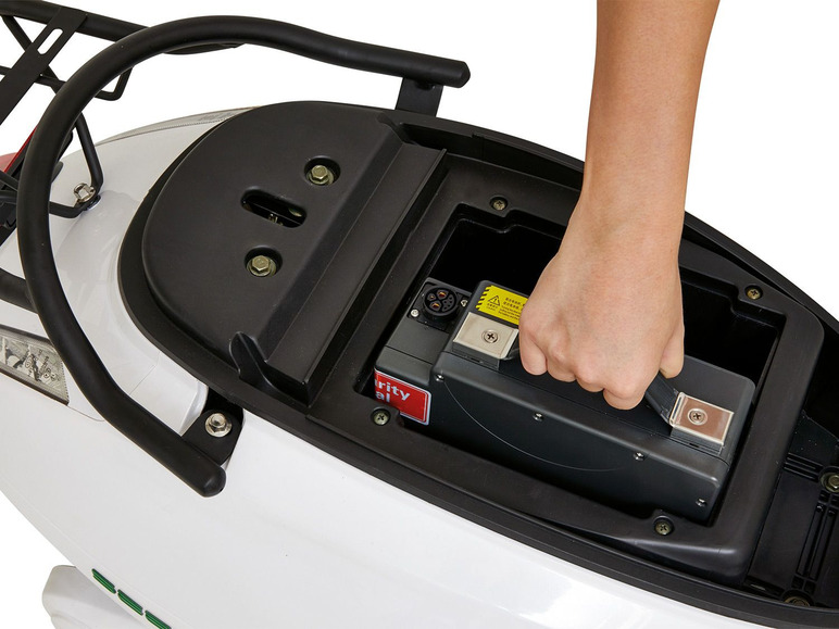 GreenStreet GreenStreet Elektro-Roller »SEED«, mit Lithium-Ionen-Akku, Eco-Modus, 50 km Reichweite