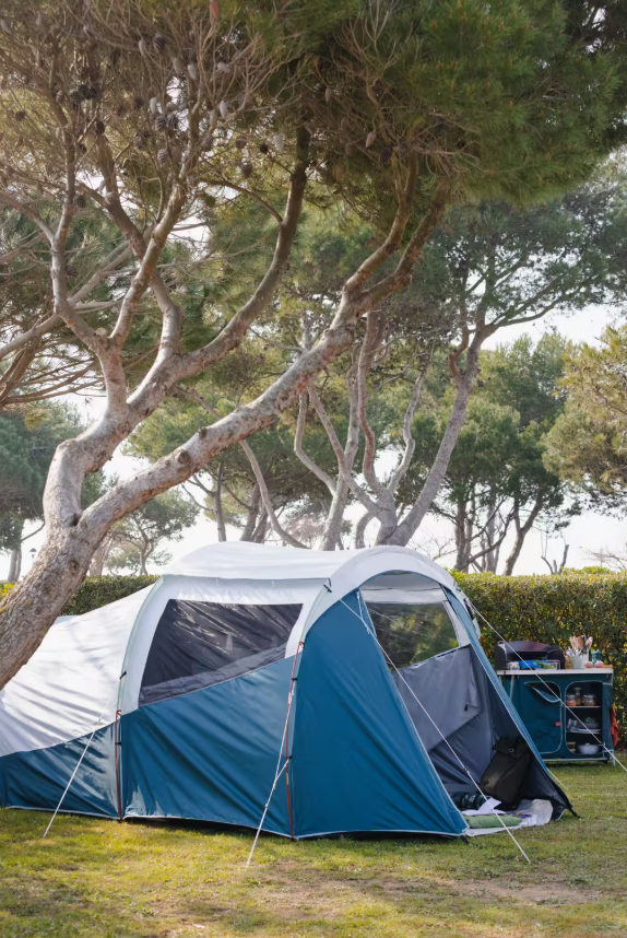 Camping Tent with Poles Arpenaz 4.1 F&B 4 Persons 1 Bedroom