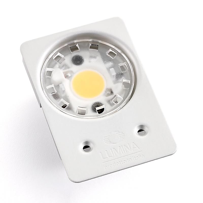 Daphine LED Desk Lamp