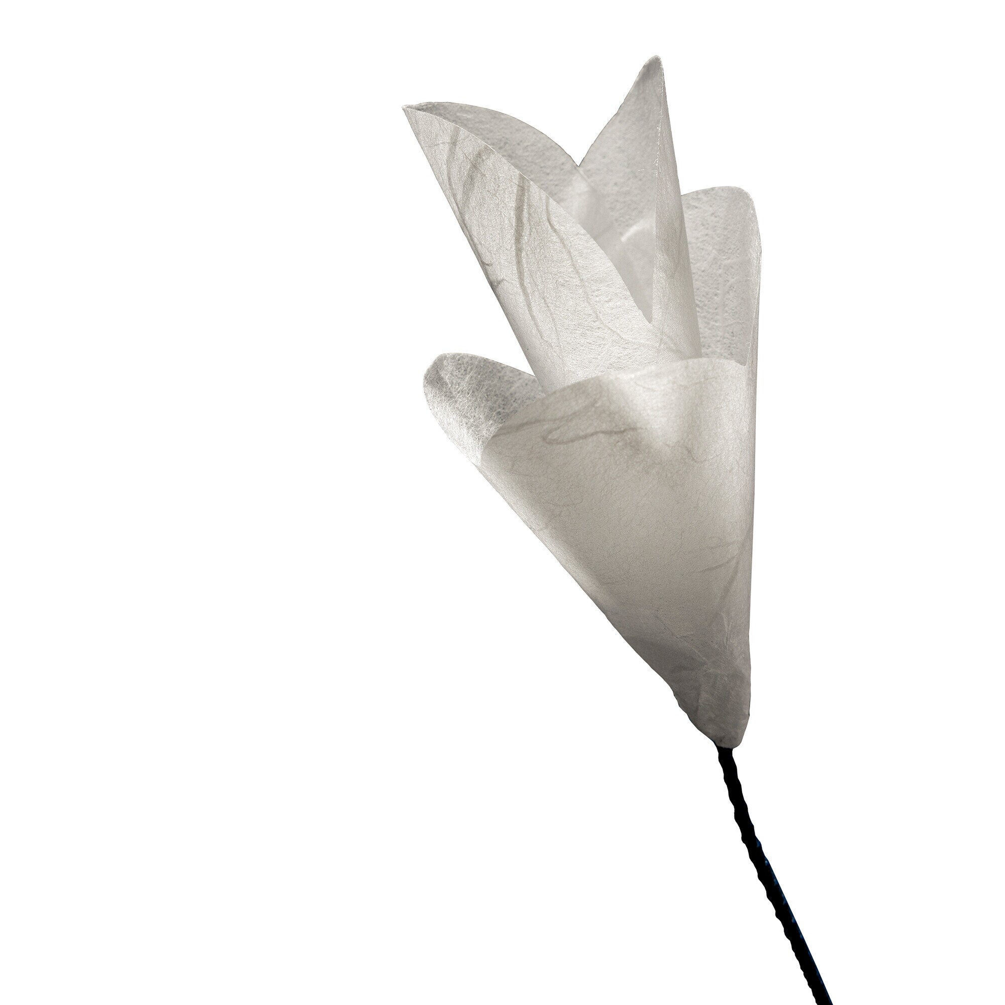 For You LED Table Lamp