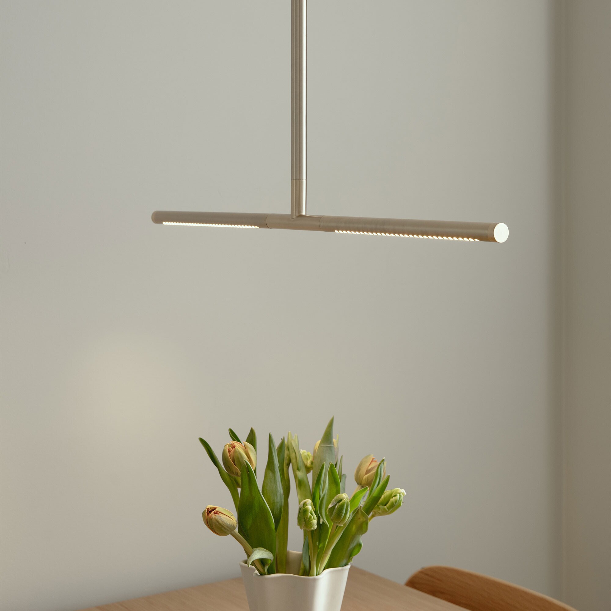 Omni LED Suspension Lamp