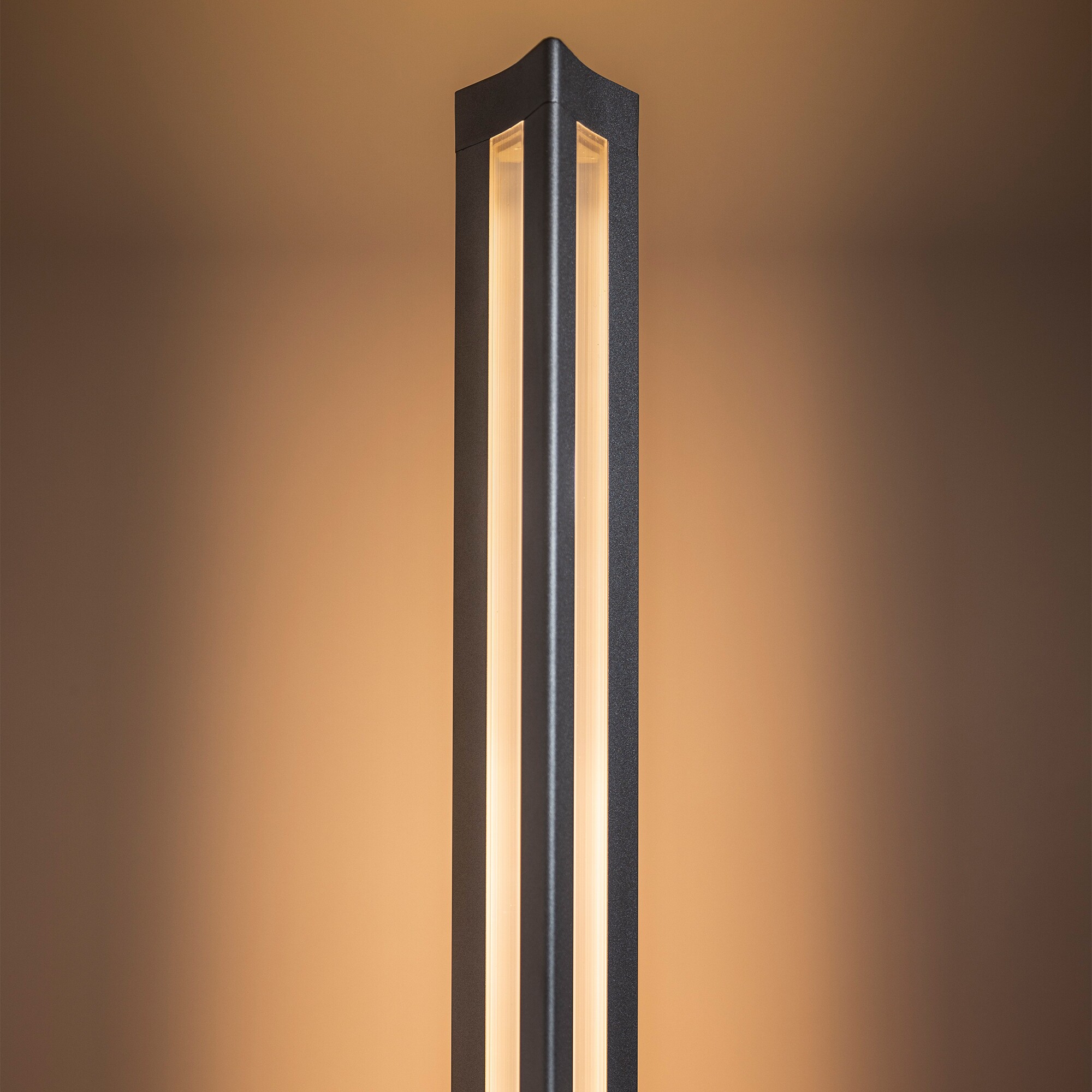 Chiaroscura LED Floor Lamp