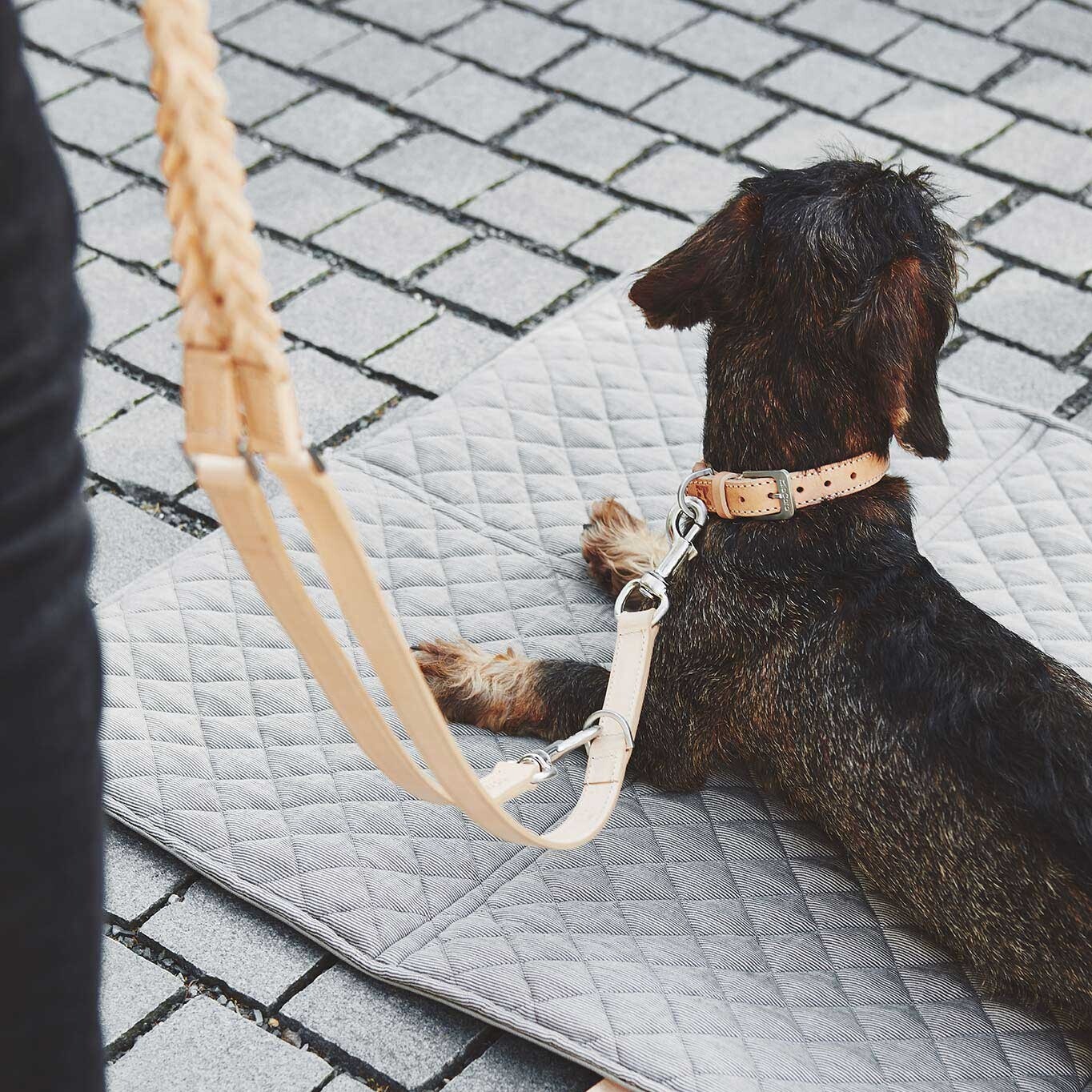 Bergamo Braided Dog Lead
