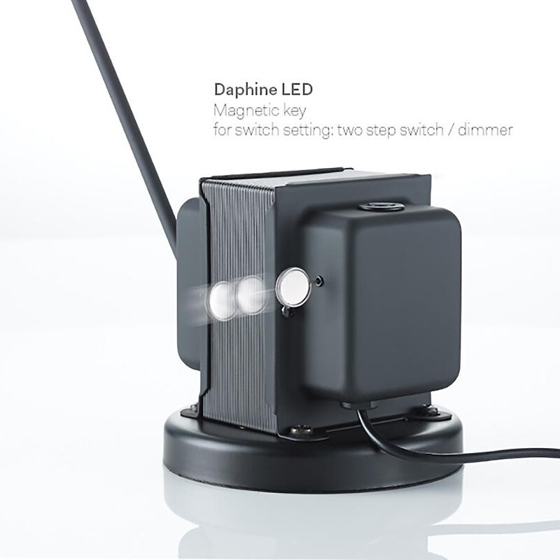 Daphine LED Desk Lamp