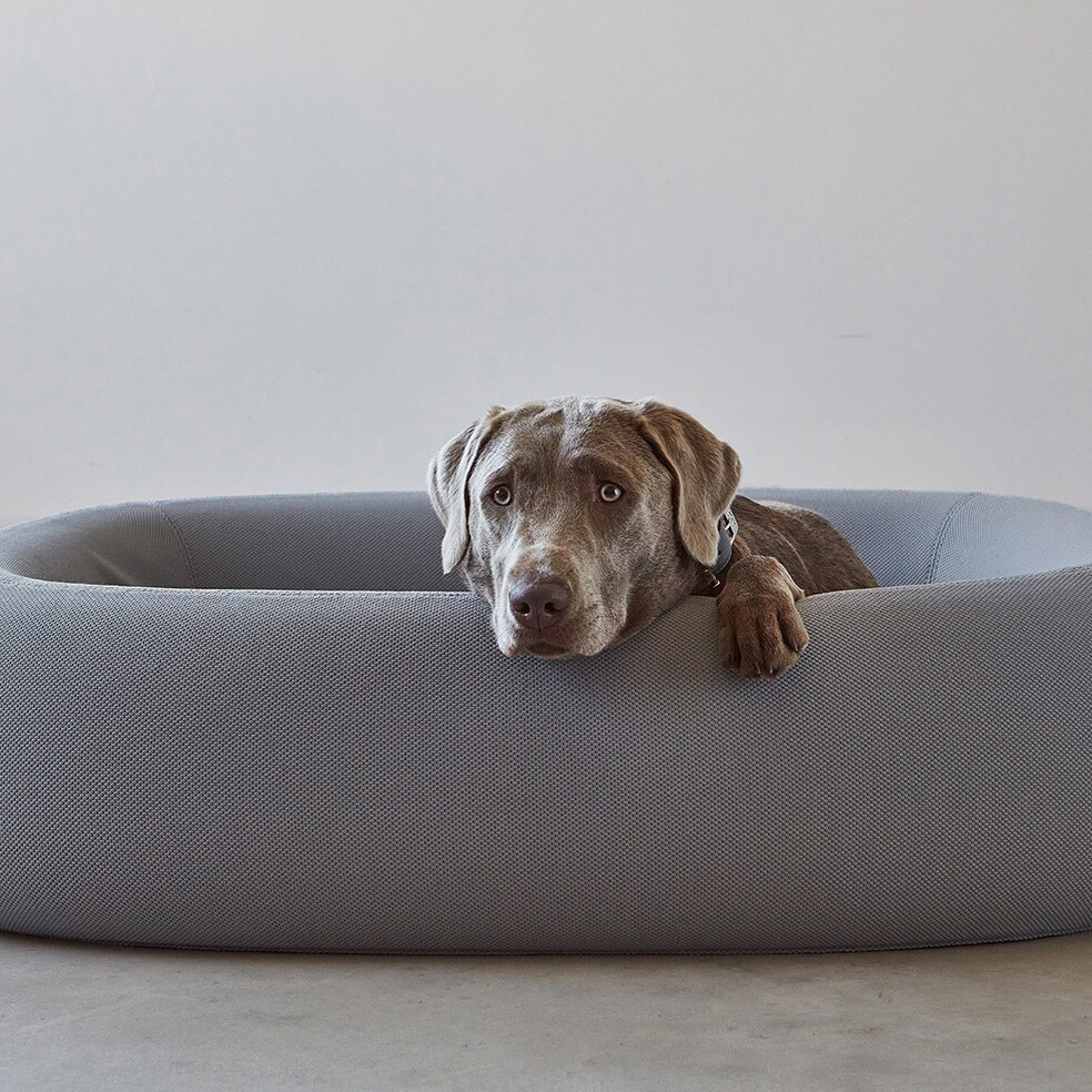 Barca Dog Bed ML