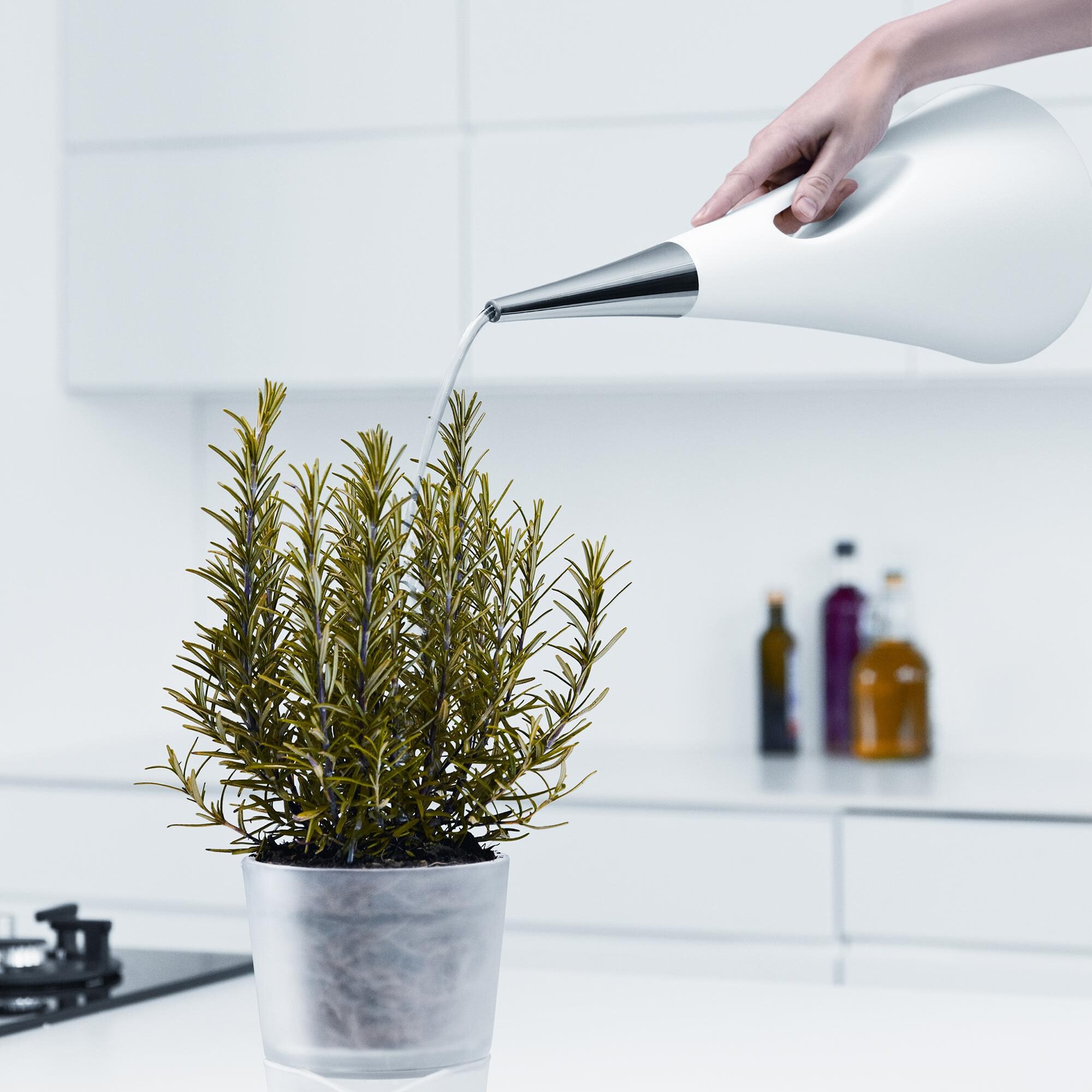 Aqua Star Watering Can