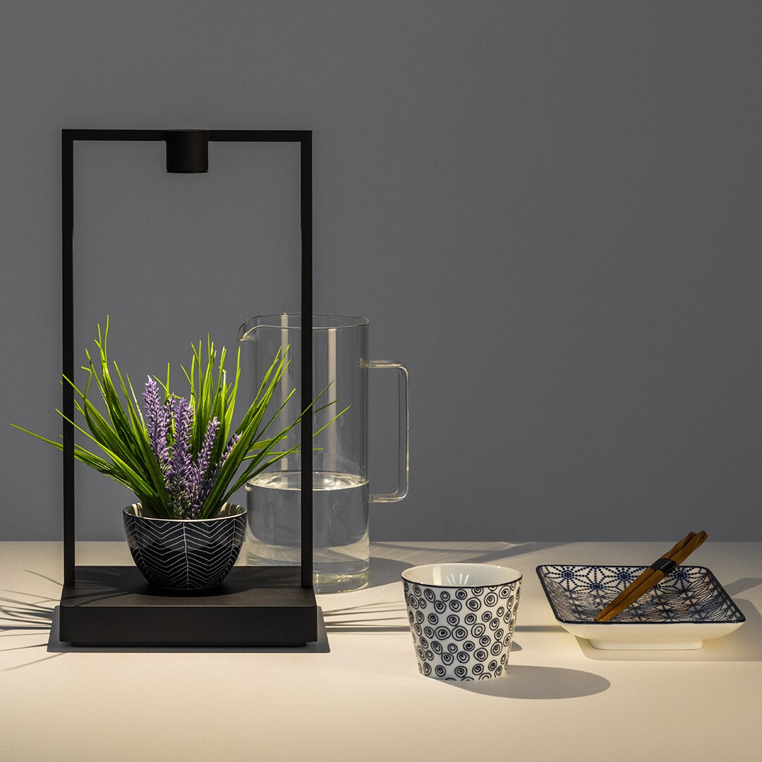 Curiosity 45 LED Table Lamp with Battery