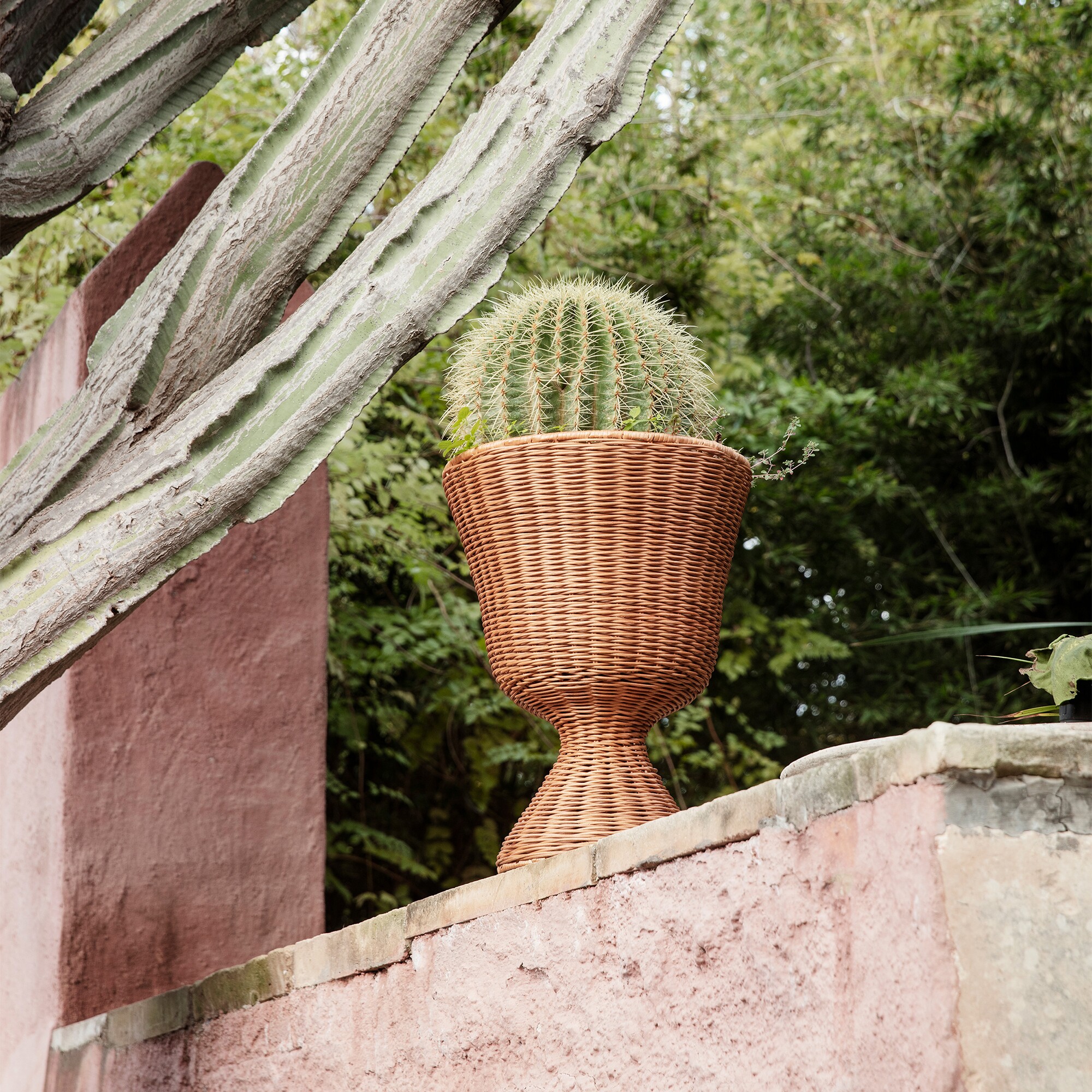 Agnes Plant Stand Low