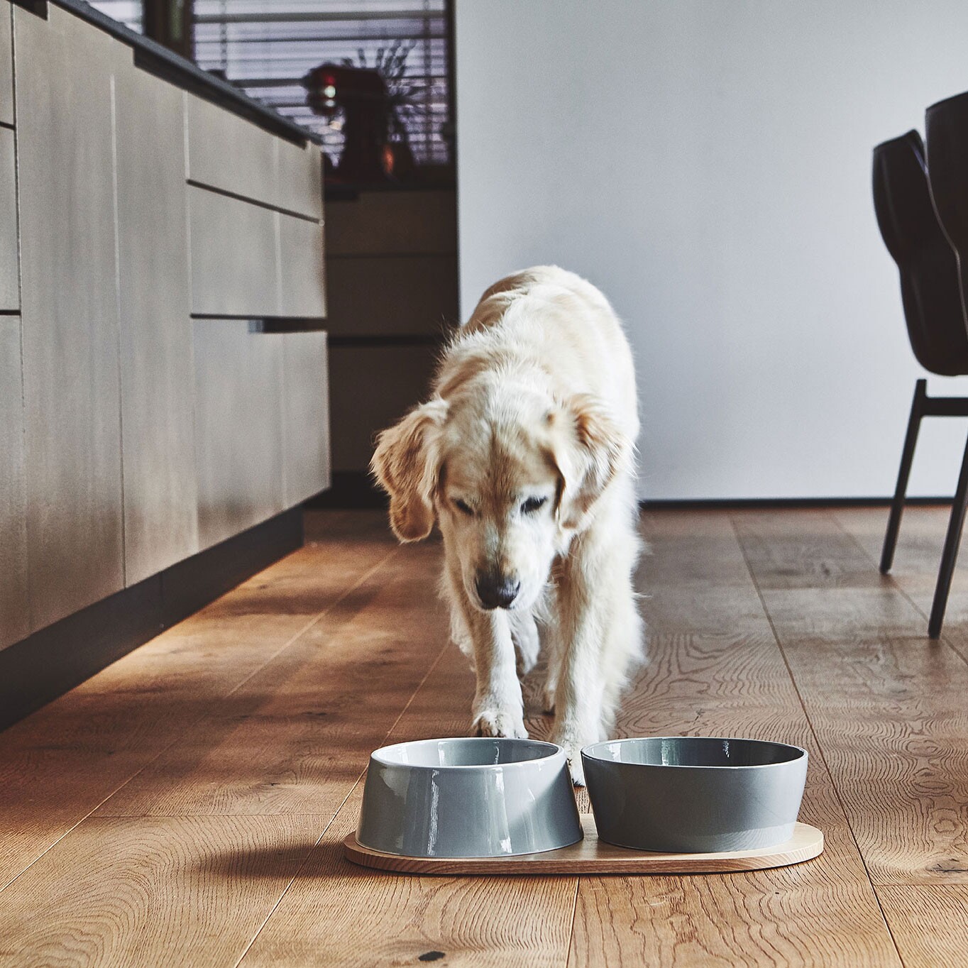 Doppio Set of 2 Dog Bowls with Wooden Tray SM