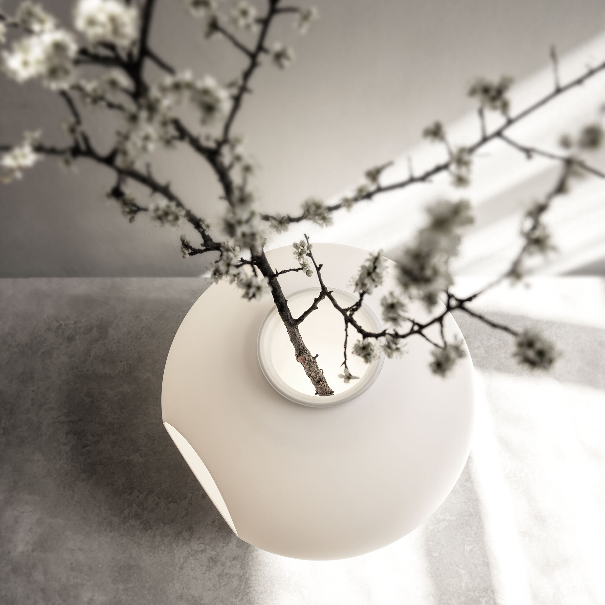 Madre LED Table Lamp