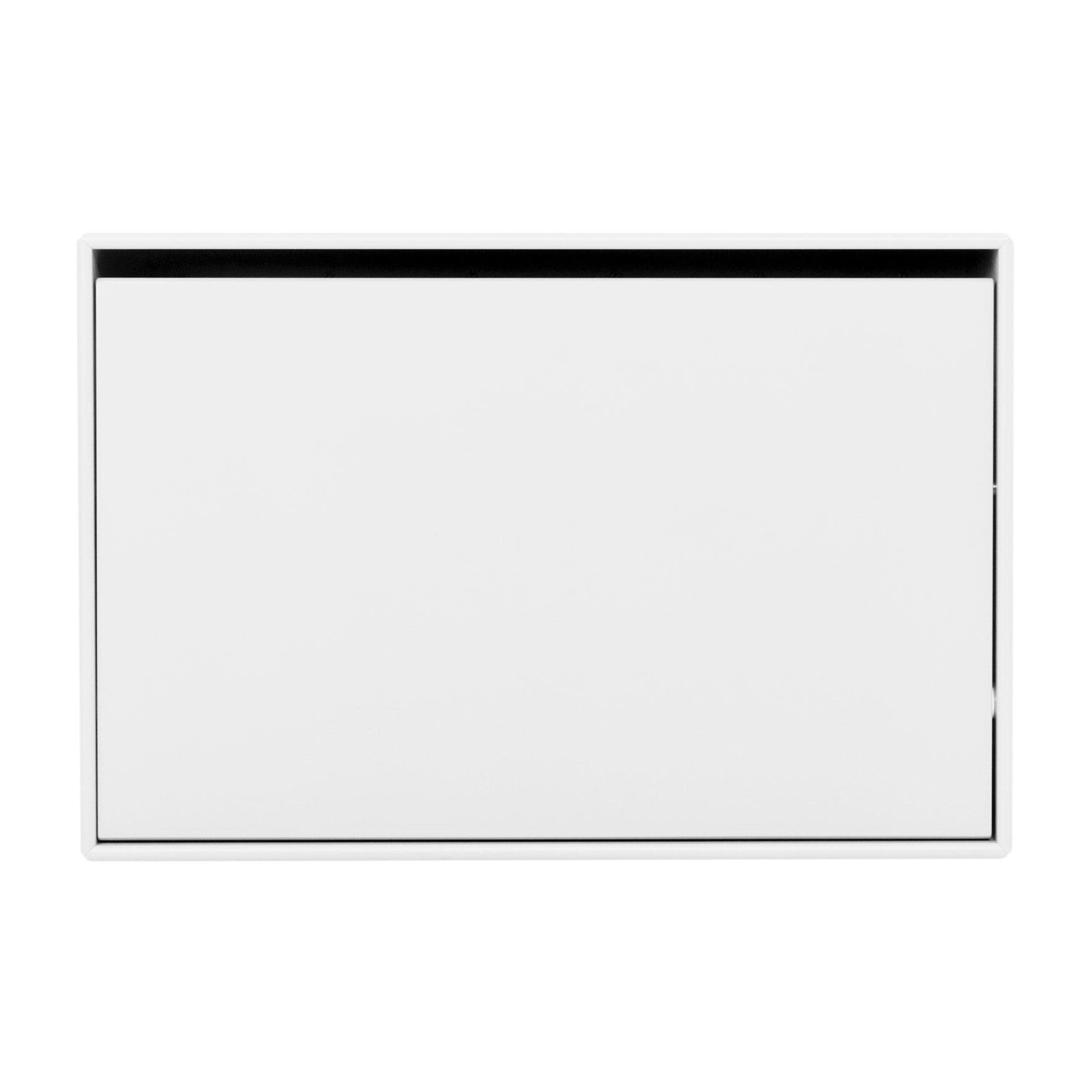 Hide Shoe Storage Box