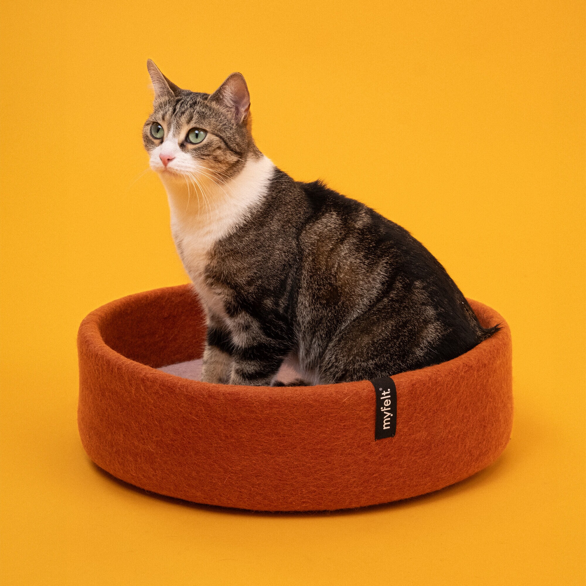 Lora Cat Basket