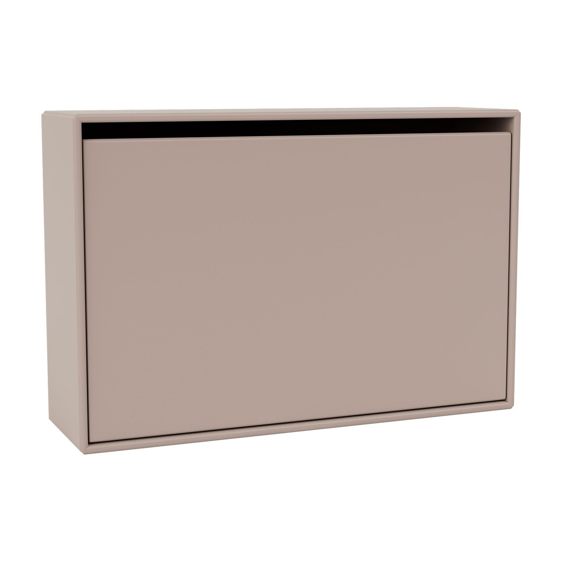 Hide Shoe Storage Box