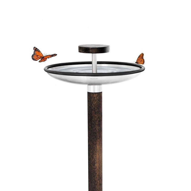 Fuera Bird Feeder