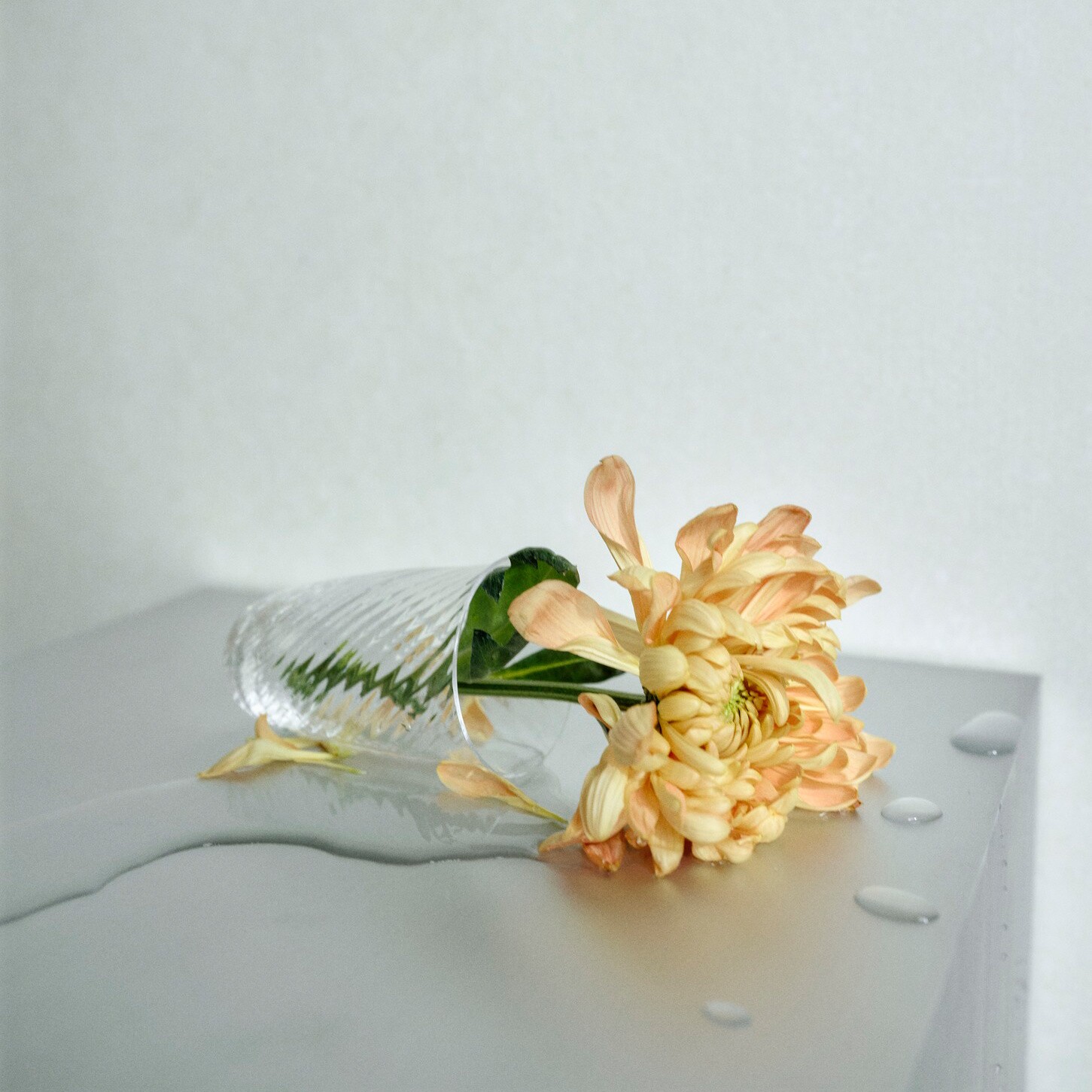 Collect SC61 Drinking Glass Set Of 2