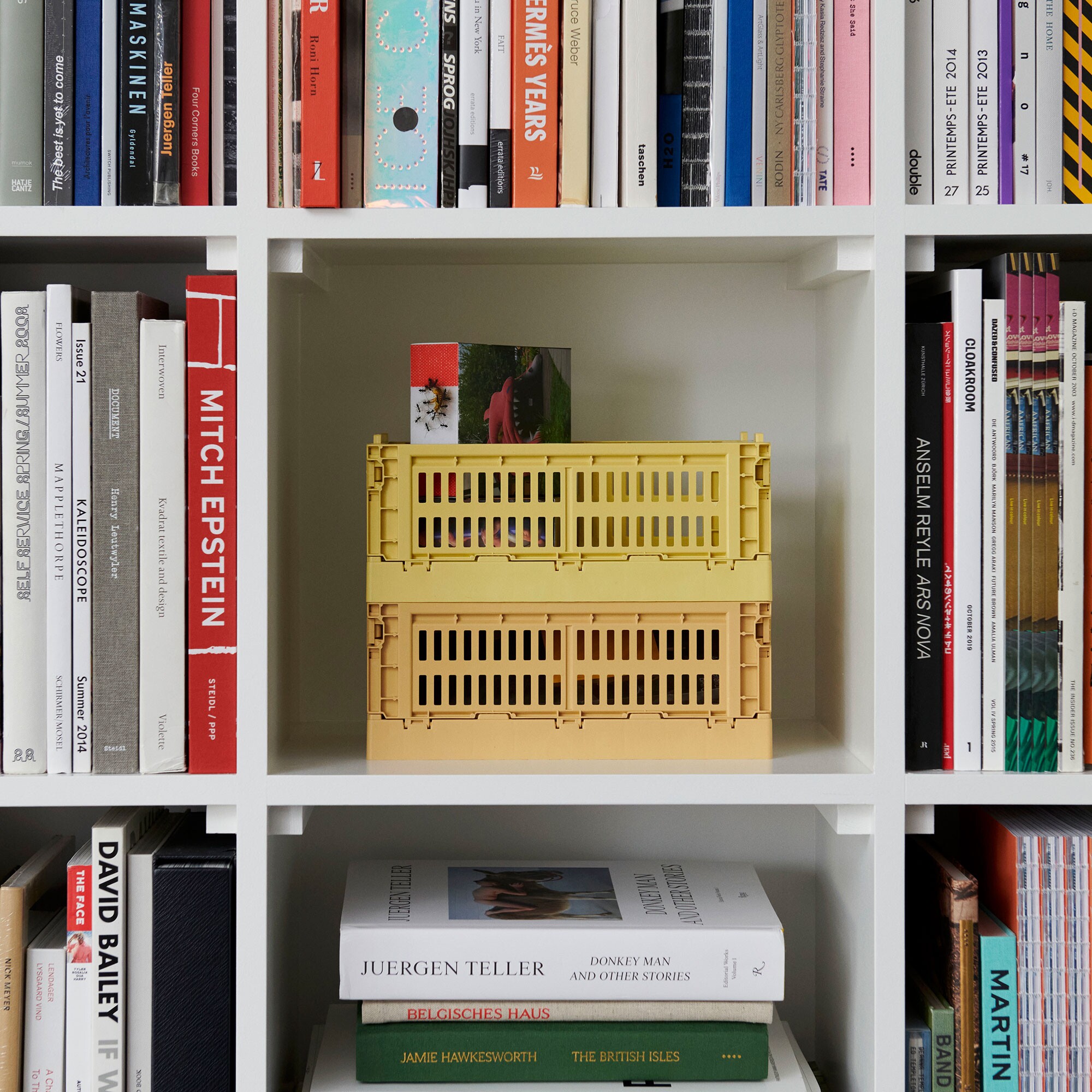 Colour Crate Recycled S