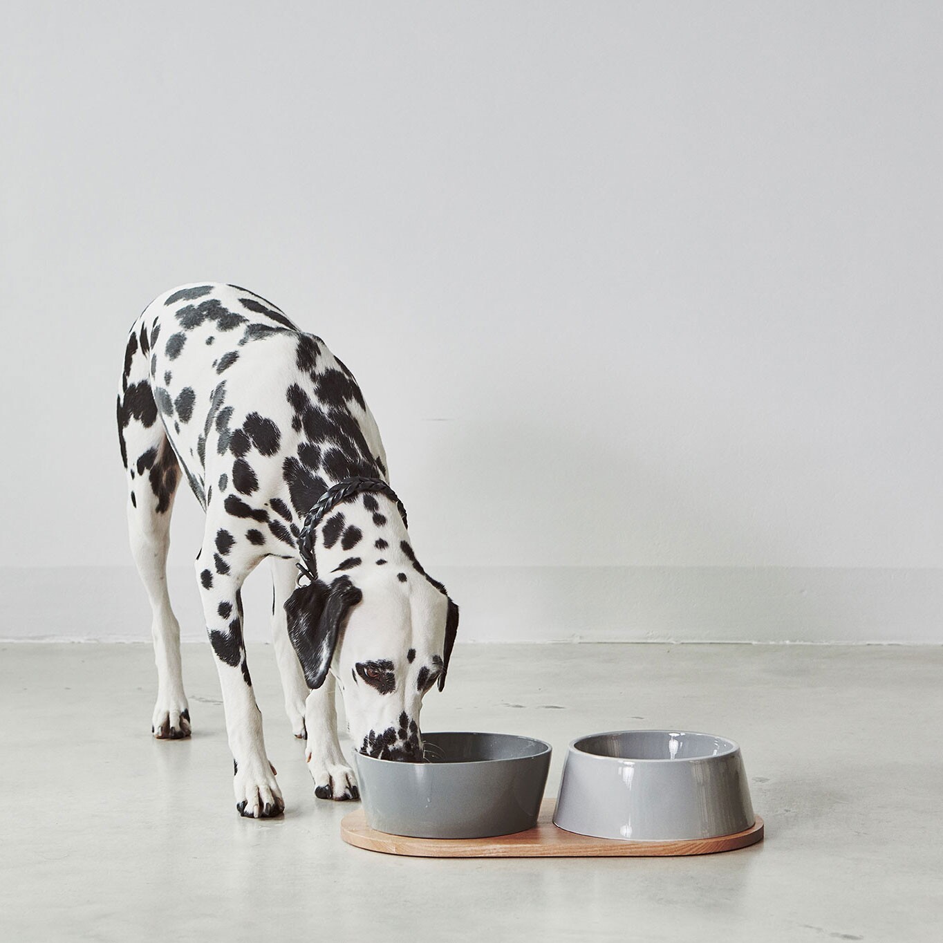 Doppio Set of 2 Dog Bowls with Wooden Tray SM