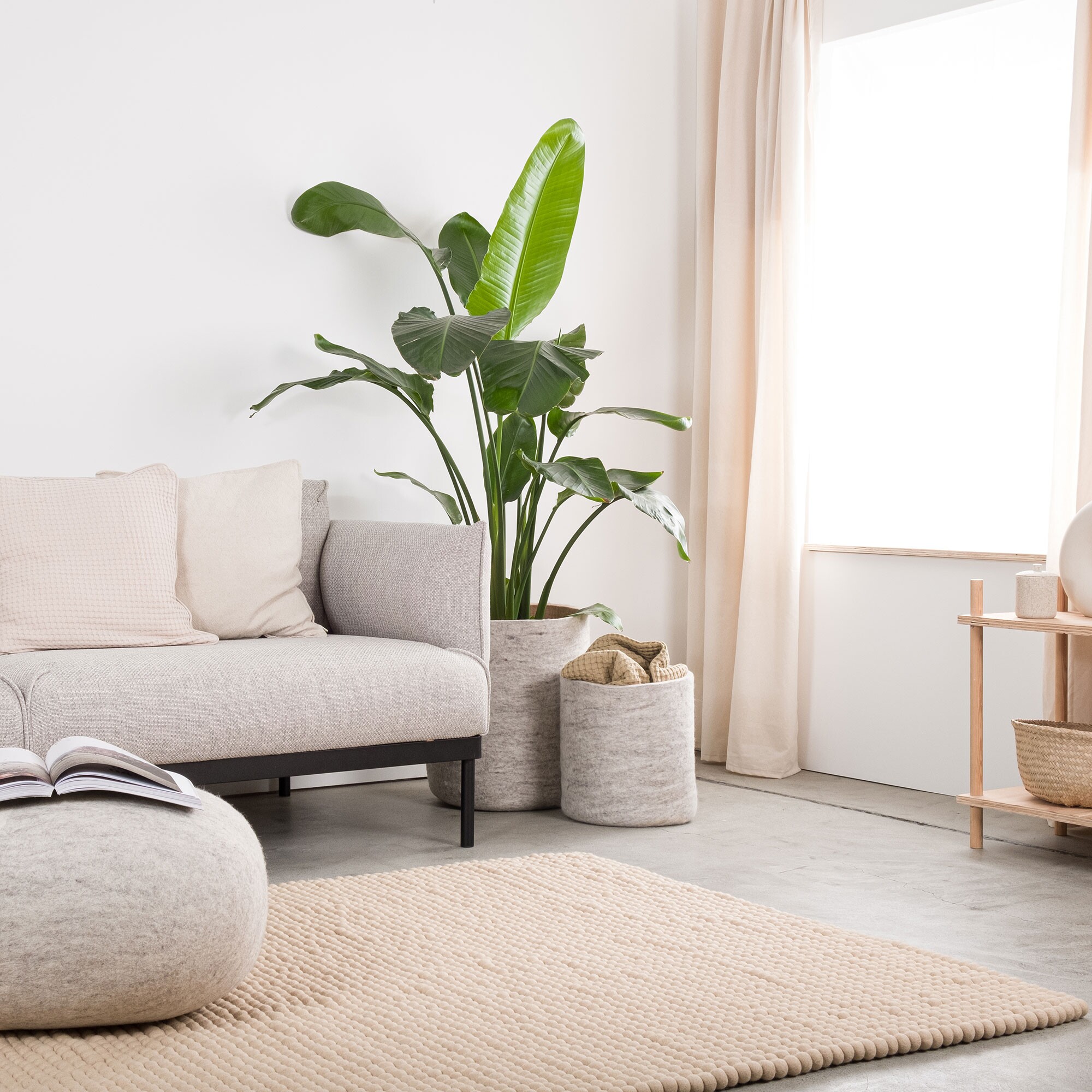 Levi Felt Ball Rug rectangular