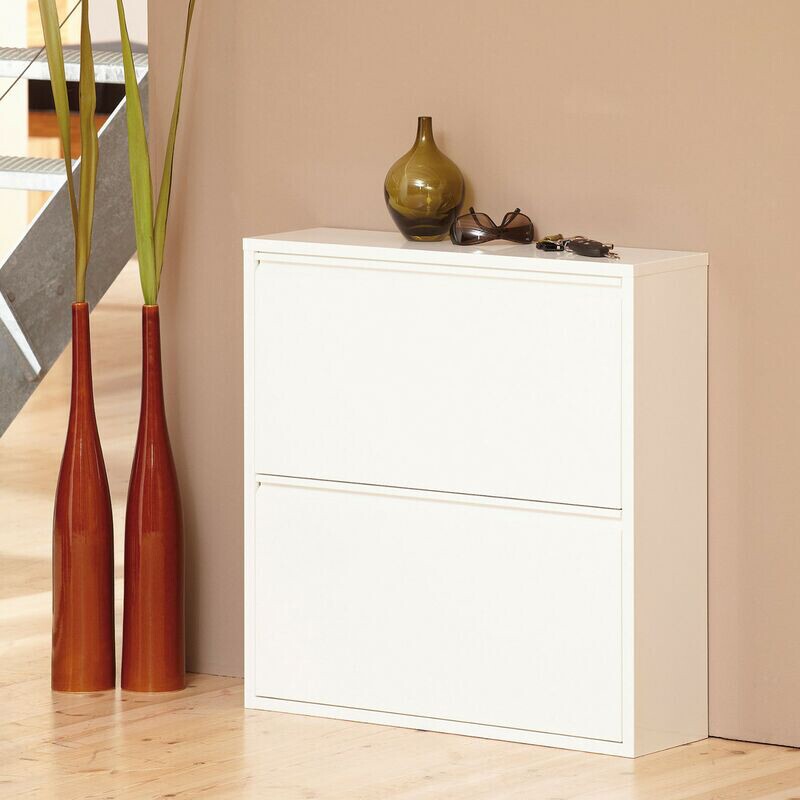 Double Large 2 Shoe Cabinet